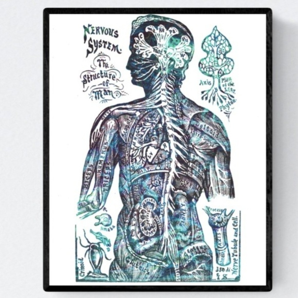 Nervous System Print 8"x10"